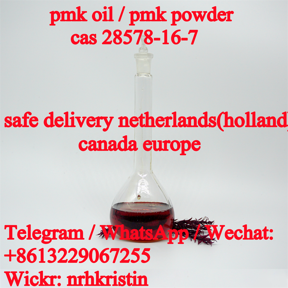 High quality pmk powder cas 28578-16-7 pmk ethyl glycidate oil  from China suppliers